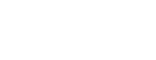 Radio SydhavsØerne logo